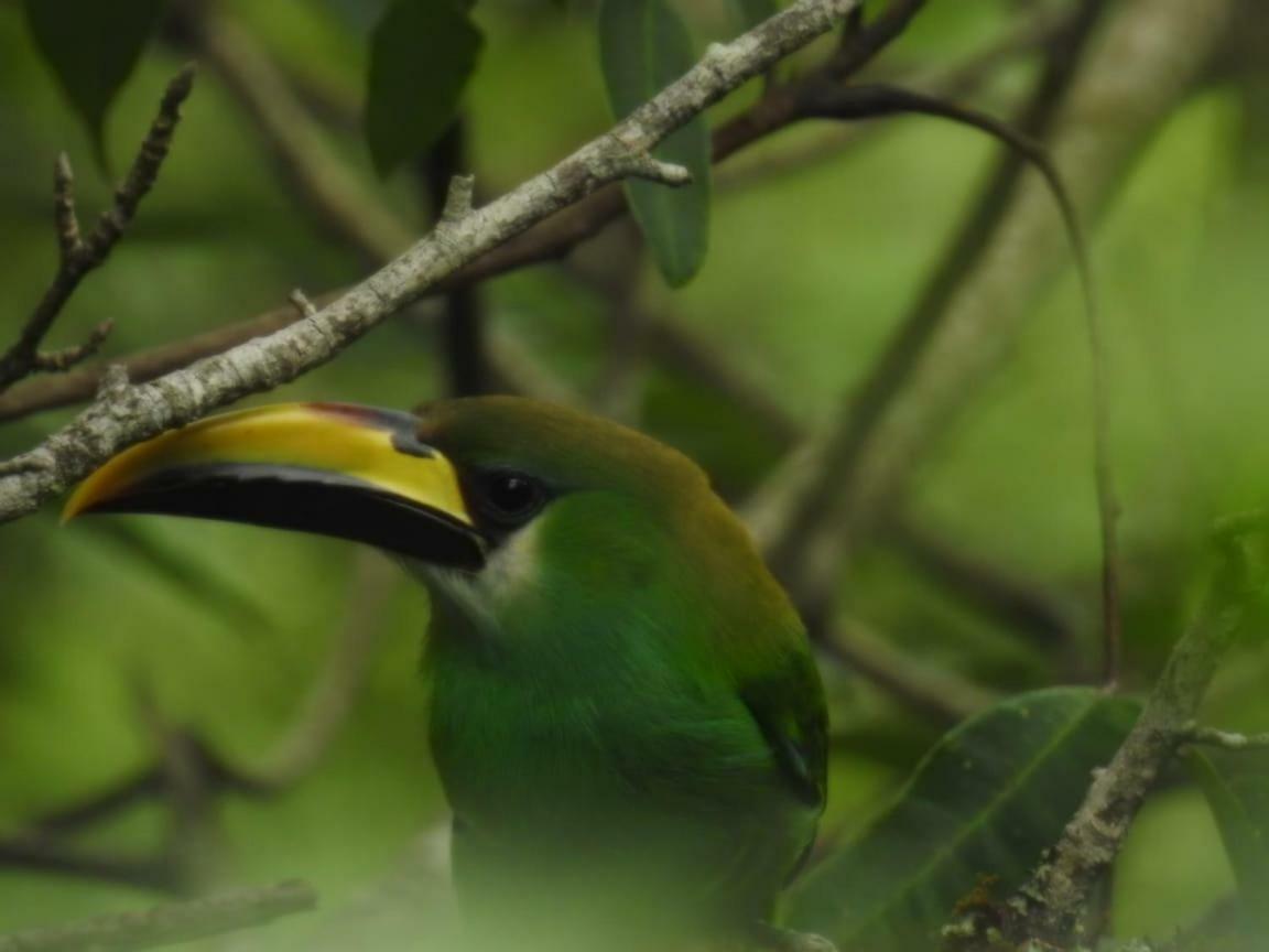 Paraiso Verde Chijou エクステリア 写真