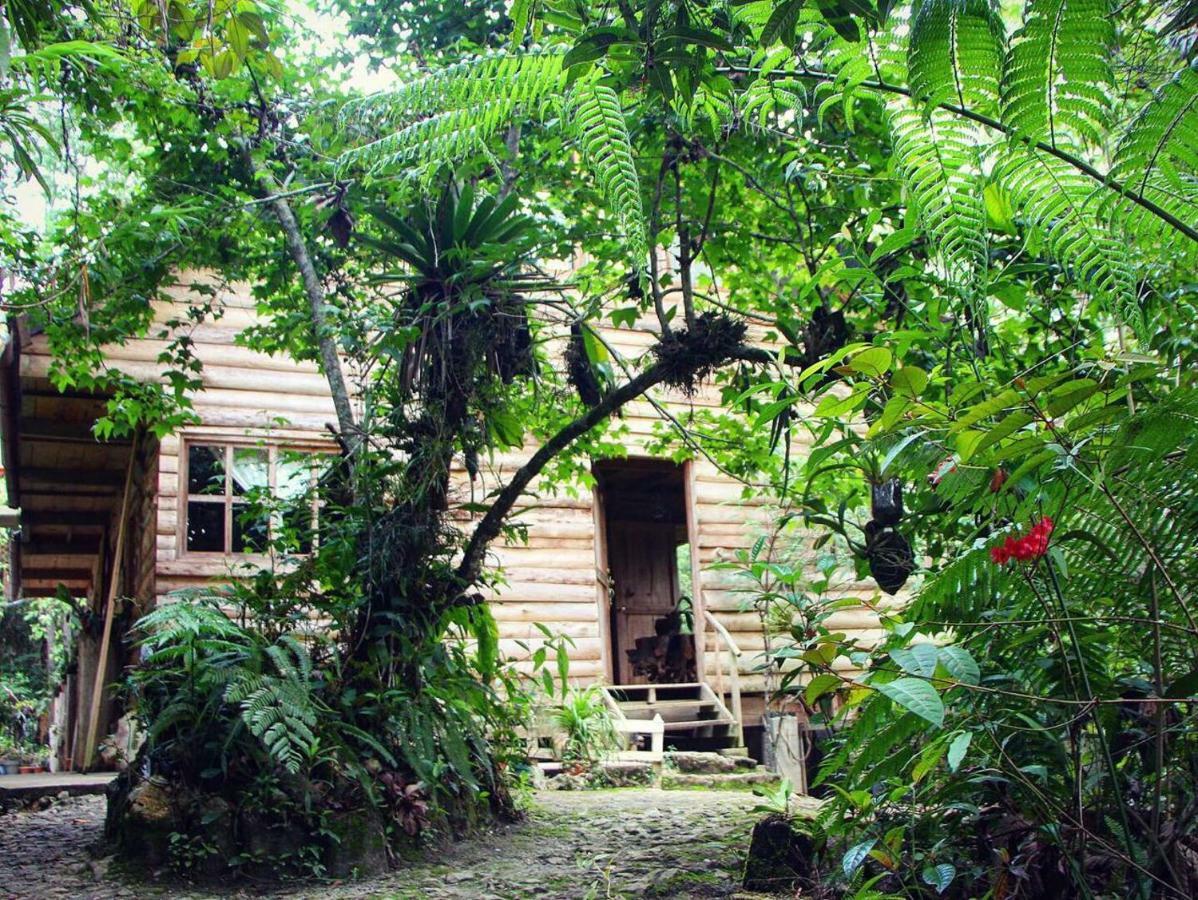 Paraiso Verde Chijou エクステリア 写真